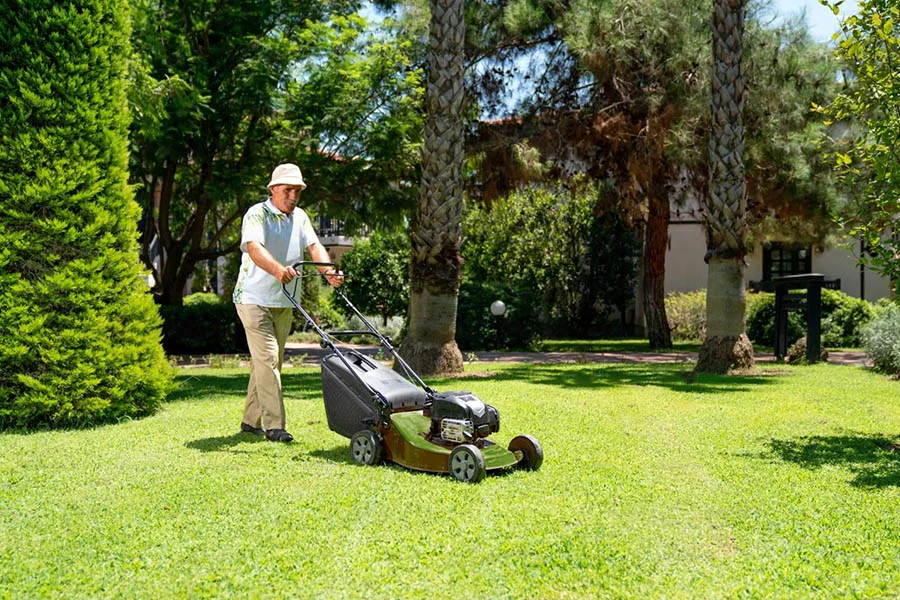 purchase lawn mower